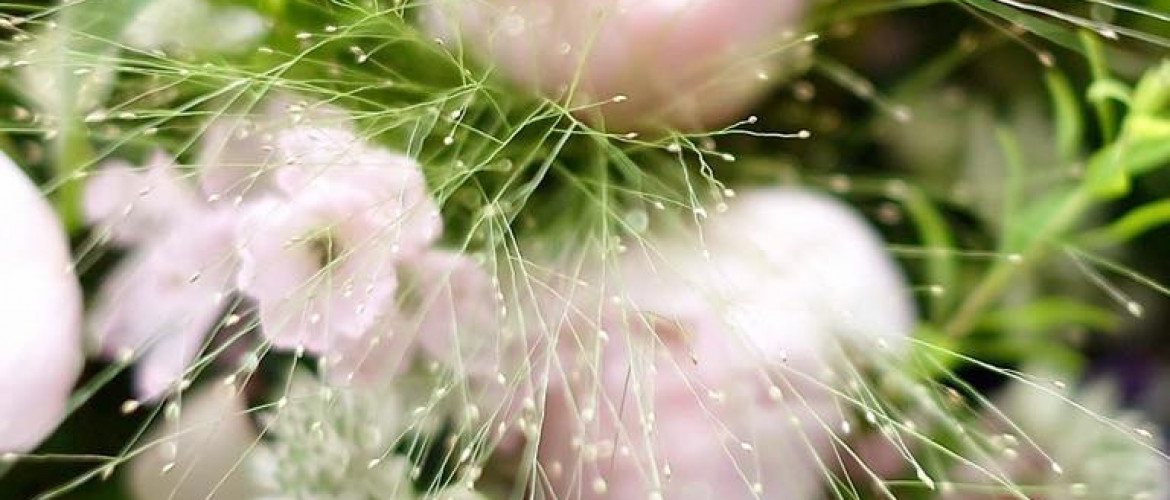 很喜歡Fina的花球