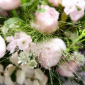 很喜歡Fina的花球