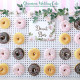 Donut wall!!
