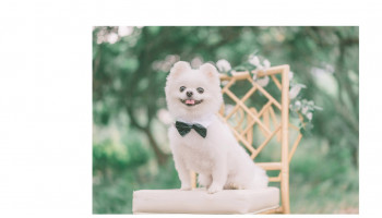 Prewedding | Hong Kong